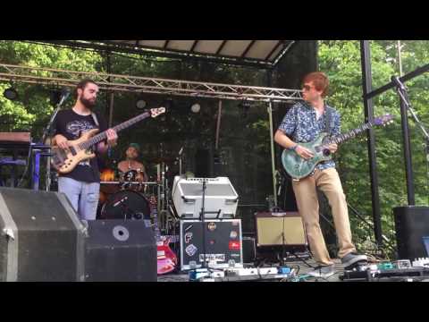 mister f :: buffalove 2016