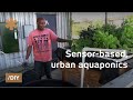 Internet of food: Arduino-based, urban aquaponics ...