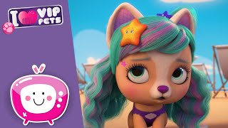 🌟👸🏼 STELLA VE YILDIZ 👸🏼🌟 VIP PETS 🌈 Yeni Dizi 💕 Yeni Bölüm ✨ Türkçe Çizgi Film