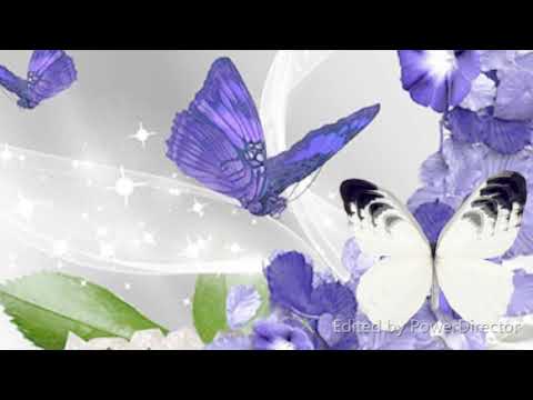 BRAĆA BENC  -  NOĆ JE PUSTA**