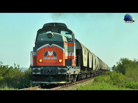 LDE1250 69 0045-5 & Marfar PSP Cargo Freight Train in Nojorid - 29 April 2022
