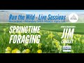 Springtime Foraging