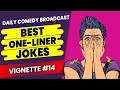 Best One Liners | Steven  Wright Jokes | Steven Wright One Liners | Vignette 14