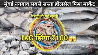 Mumbai Naigaon Fish Market | Naigaon Wholesale Fish Market | Wholesale Fish Market In Mumbai
