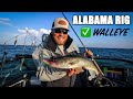 Alabama rig walleye (mission accomplished!)