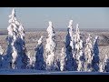 Winter Of Pello In Lapland Finland Pellon Talvi Lappi Arctic Circle Finnish Lapland