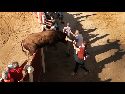 Peñafiel 2023 El Toro Salta La Plaza