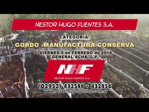 NÉSTOR HUGO FUENTES S.A. - VI-09-FEB-2018 - GRAL. ACHA - CAT.: GORDO MANUFACTURA CONSERVA