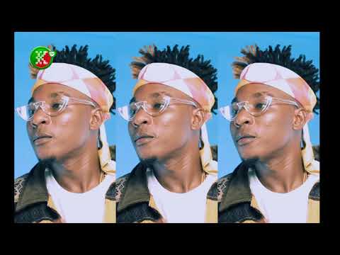 Wale Turner, Oladips, Terry Apala and Mzkiss turn up for Zayo's  Colored remix video