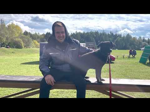 Msks 2022 zbraslav 😇  krásná podívaná 🤩