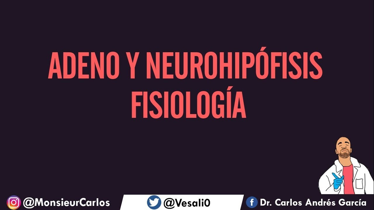 Fisiología - Hipófisis (Hormonas, Regulación de la Adeno y Neurohipófisis)