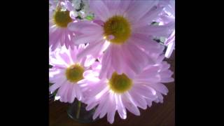 in times of trouble by Baby Karma