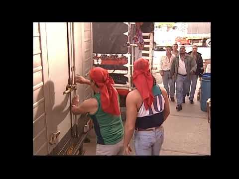 Pedro el escamoso le buscan peleas