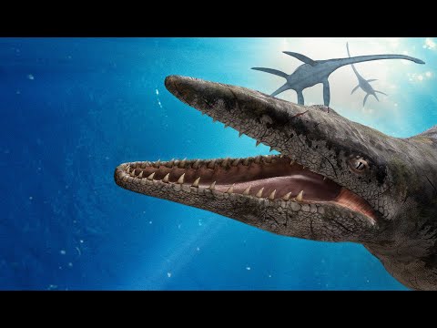 Sea Monsters a Prehistoric Adventure (2007)