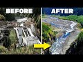 How The Largest Dam Removal Of All Time Brought An Entire Ecosystem Back From Extinction