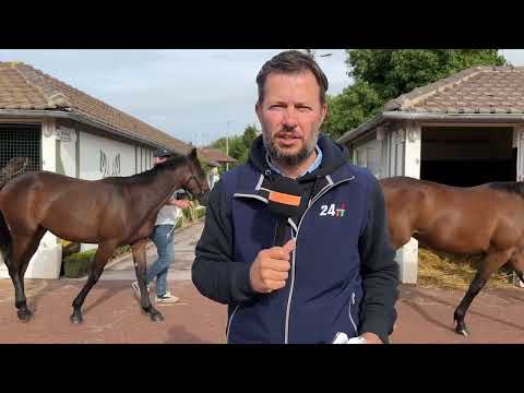 Ventes de Yearlings Sélectionnés 2023 - Review Jour 3