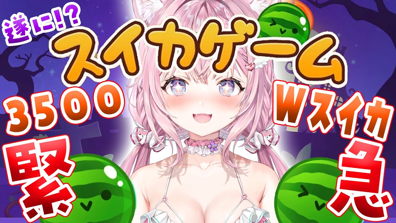 【スイカゲーム】緊急‼‼カボチャになってる⁉間に3500↑＆Wスイカなるか！？？？🎃🎃【博衣こより/ホロライブ】