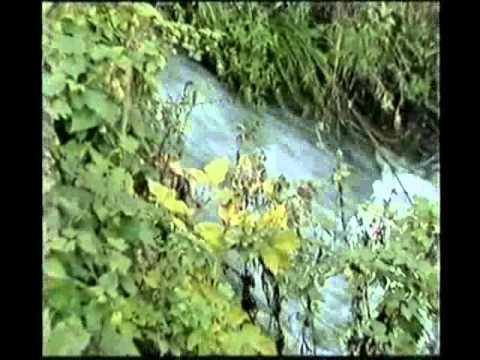 Barvinok: Potocic ( Brooklet )