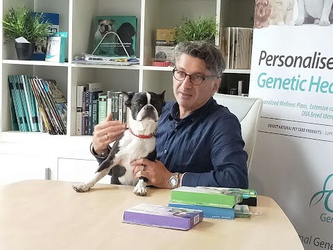 Pet DNA test helps dog breed identification with health check