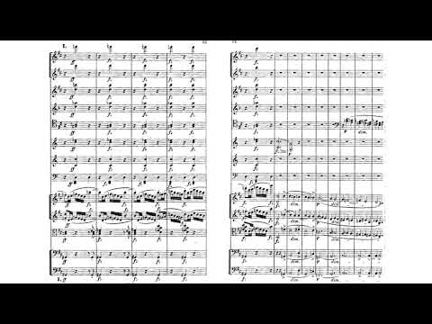 [Norbert Burgmüller] Symphony No.2 in D Major Op.11 (Score-Video)