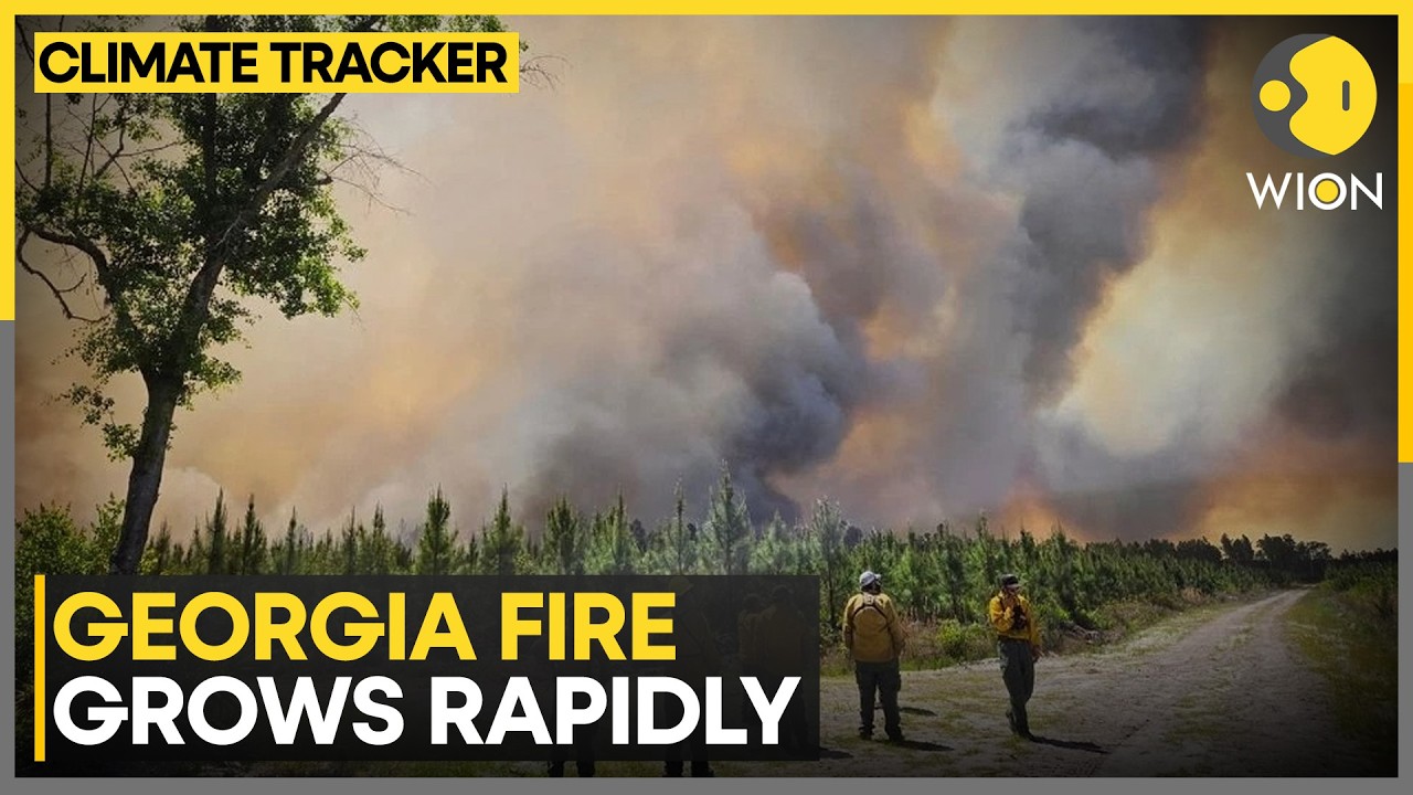 Georgia Wildfire: US Southeast Under Fire Crisis | WION Climate Tracker
