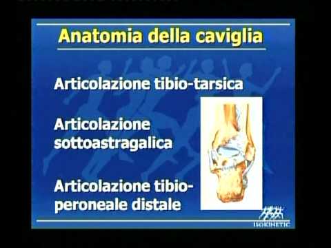 Cisti perineurale della colonna vertebrale che è e trattato Il trattamento della borsite del ginocchio dellomeopatia