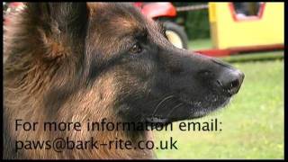 preview picture of video 'Bark-Rite Dog Display at Curdridge Show 2011'