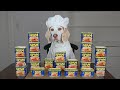 Dog Cooks with Spam: Funny Chef Dog Maymo