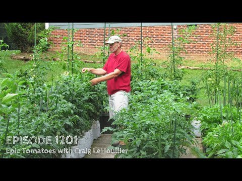 Growing a Greener World Episode 1201 - Epic Tomatoes with Craig LeHoullier