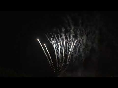 PERFECT BLISS 210 SHOTS 120SEC