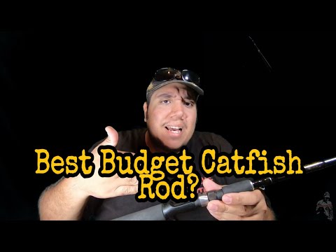 THE BEST CATFISH ROD On A Budget