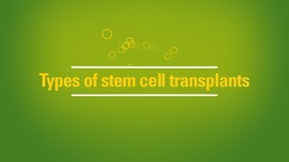 Types of stem cell transplants: autologous vs. allogeneic