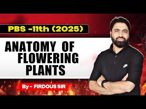 PBS-11TH (2025) || ANATOMY OF FLOWERING PLANTS || BY FIRDOUS SIR