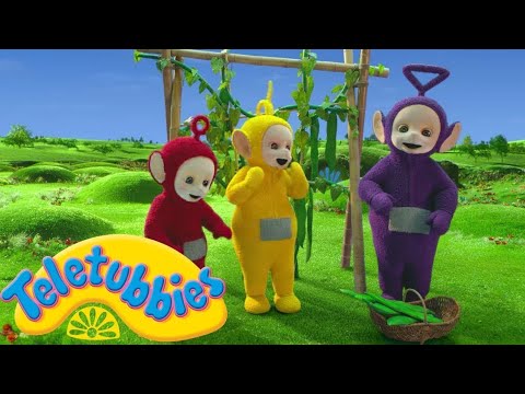Teletubbies | Greens | Official Season 16 Full Episode