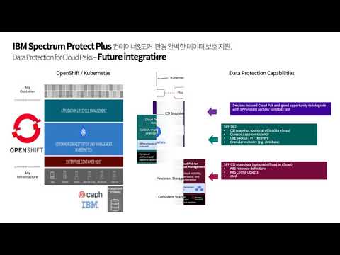 IBM Spectrum Protect Plus for Container