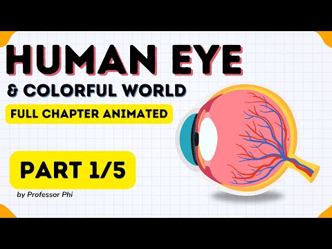 What's So Amazing About YOUR Human Eye? | Human Eye & Colorful World | Class 10
