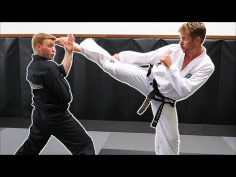 Ginger Ninja Trickster Vs World Champion | Taekwondo Fight