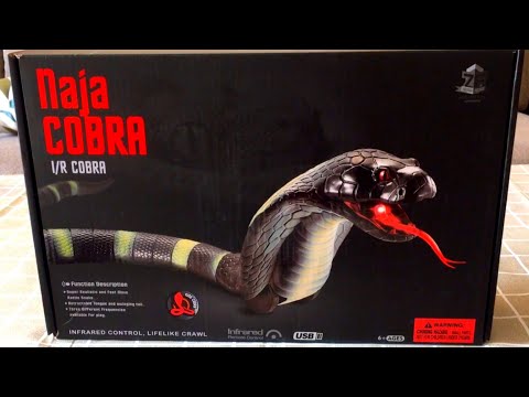 RC Fastest Naja Black King Cobra Unboxing & Testing - Rc Unboxing Ark