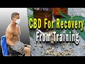 CBD For Recovery From Training