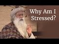 Why Am I Stressed? - Sadhguru on Stress