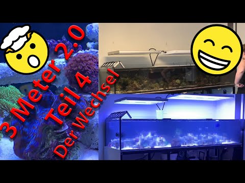 Blue Passion - 3 Meter 2.0 - Part 4 - The Change