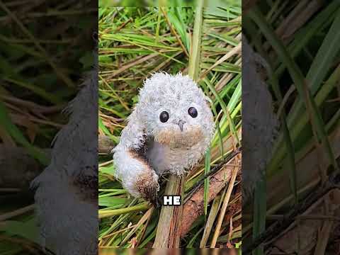 Эта птица думает, что она невидимая 😳🦉