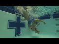 Swimming Lessons Water Safety YMCA Aquatics