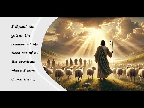 Jeremiah “Shepherds?” (Jeremiah 23:1-8)