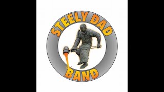 Steely Dad Band - Hate to Say I Told You So (The Hives Cover)
