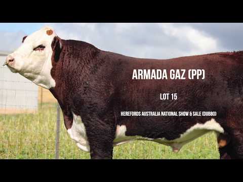 Lot 15 Armada Gaz