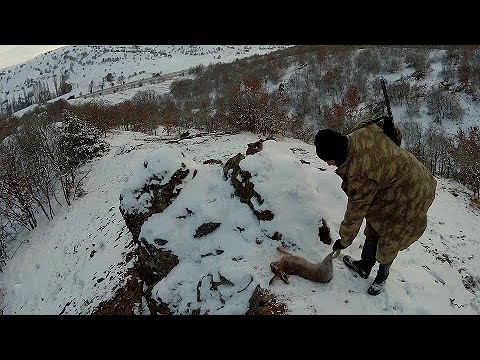 tavşan avı # rabbit hunting # Hasenjagd # gjuetia e lepurit # chasse au lapin # охота на кролика