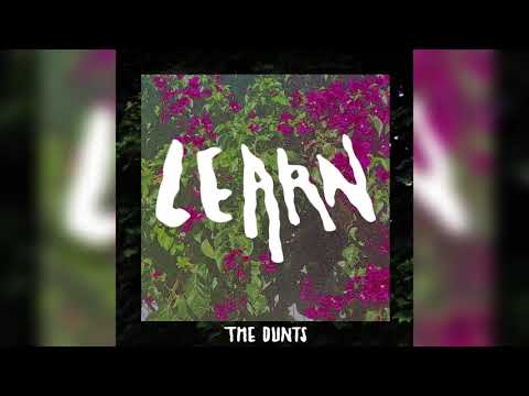 Learn - The Dunts