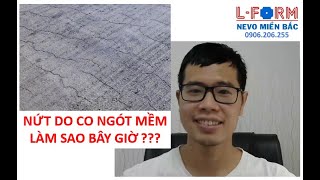 [XÂY DỰNG] [ NỨT SERIES ] CHẾT DỞ, NỨT DO CO NGÓT MỀM RỒI