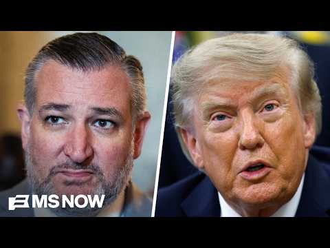 Can Dems flip the Senate? Cruz says he's 'really worried'